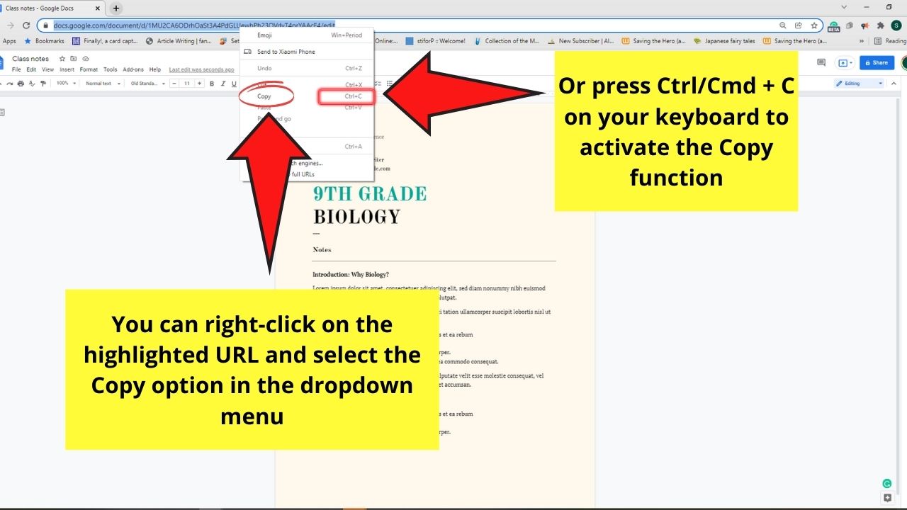 How to View Two Pages Side by Side in Google Docs by Opening Multiple Windows Step 1.2