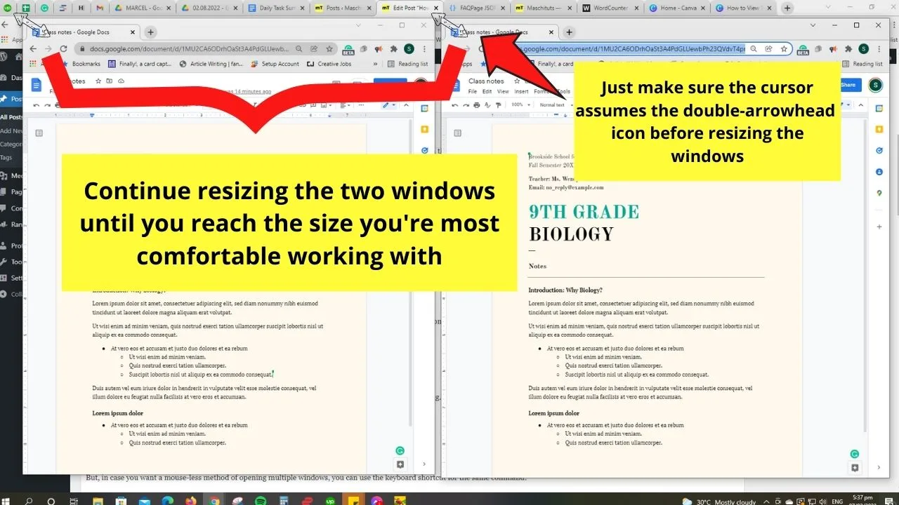 How to View Two Pages Side by Side in Google Docs by Opening Multiple Windows Step 4