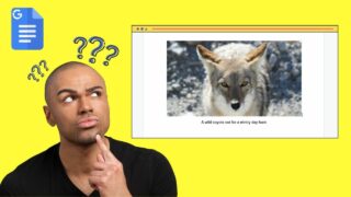 How to Caption an Image in Google Docs