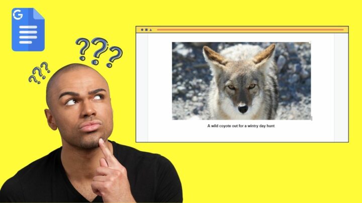 4 Brilliant Methods to Caption an Image in Google Docs