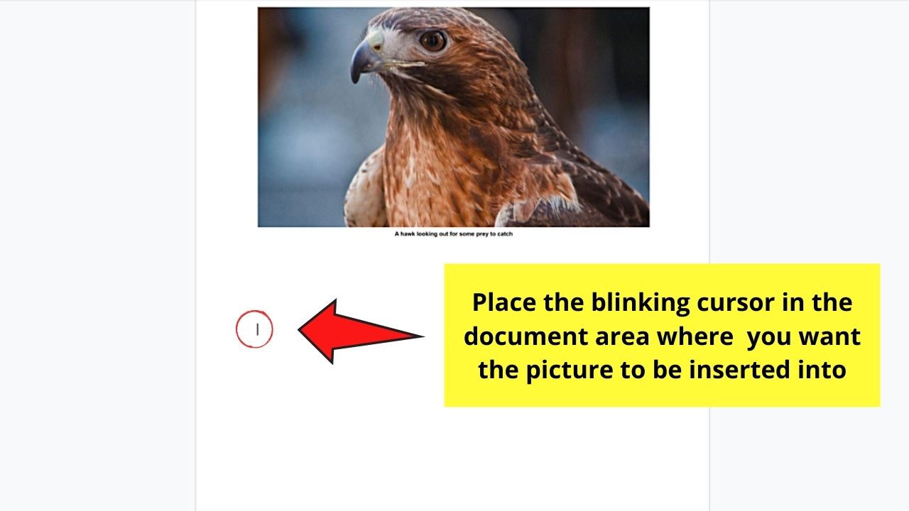 How to Caption an Image in Google Docs by Adding a Table Step 1