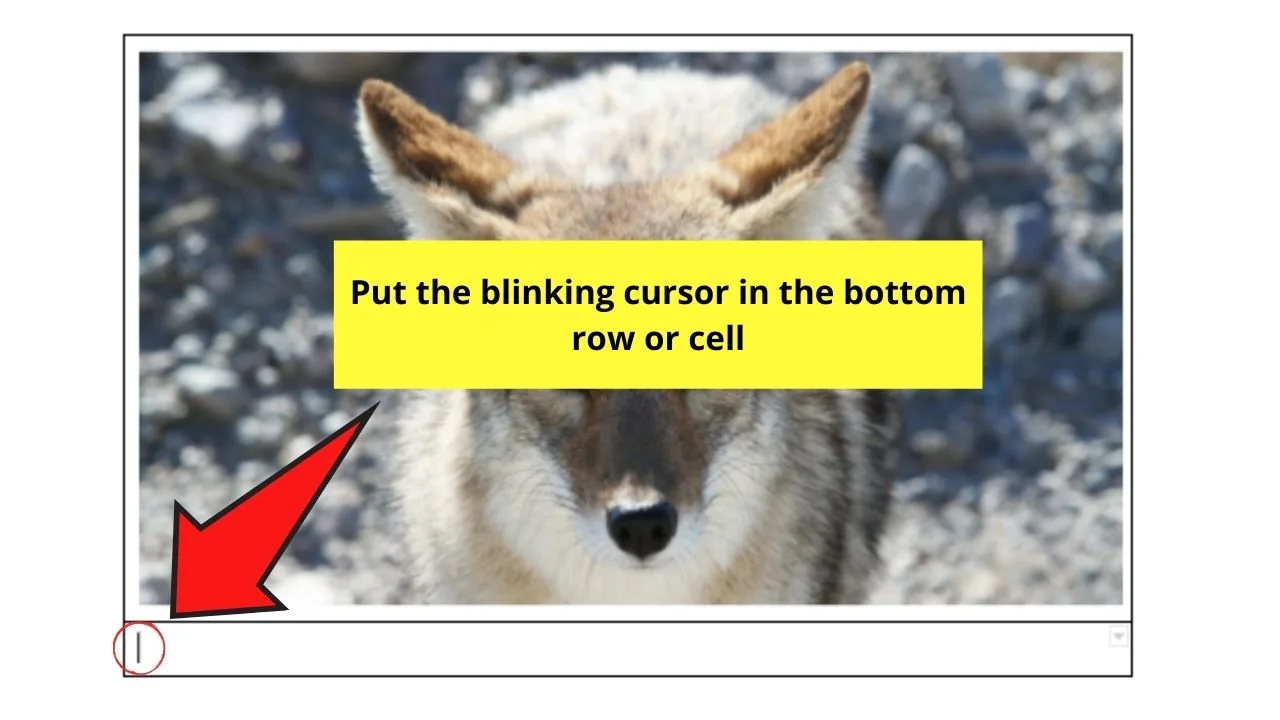How to Caption an Image in Google Docs by Adding a Table Step 5.1