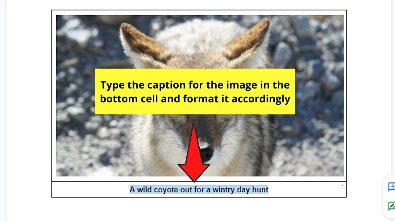 How to Caption an Image in Google Docs by Adding a Table Step 5.2