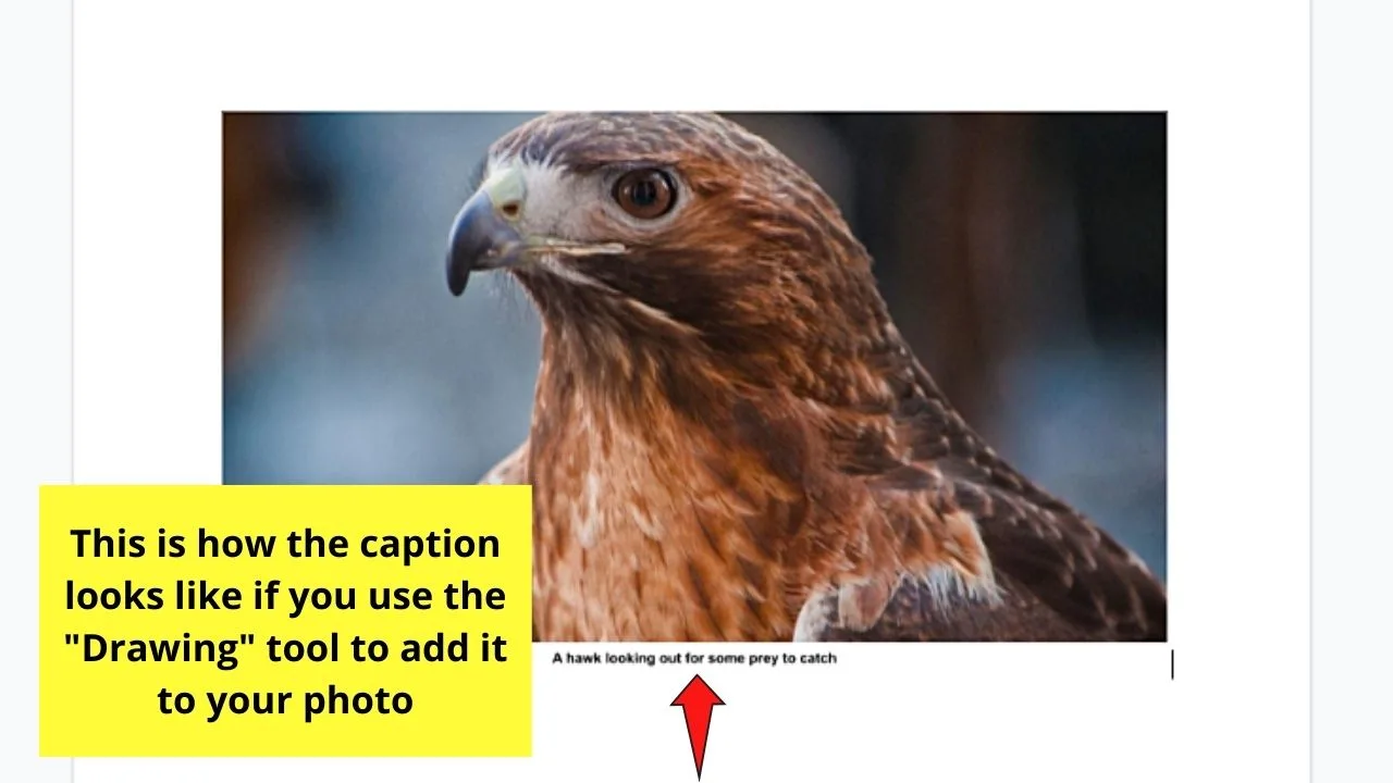 How to Caption an Image in Google Docs with the Drawing Tool Step 9.2