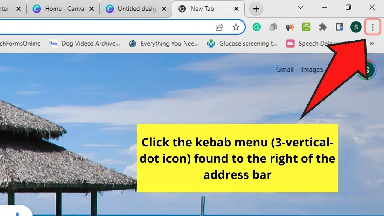 How to Change the Tab Color in Chrome by Opening Chrome Themes Step 1