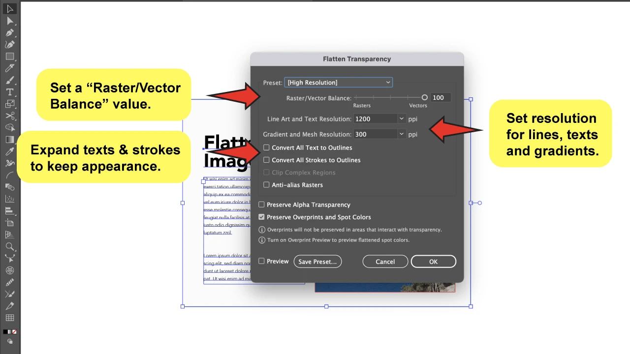 How to Flatten an Image in Illustrator Using Flatten Transparency Step 4