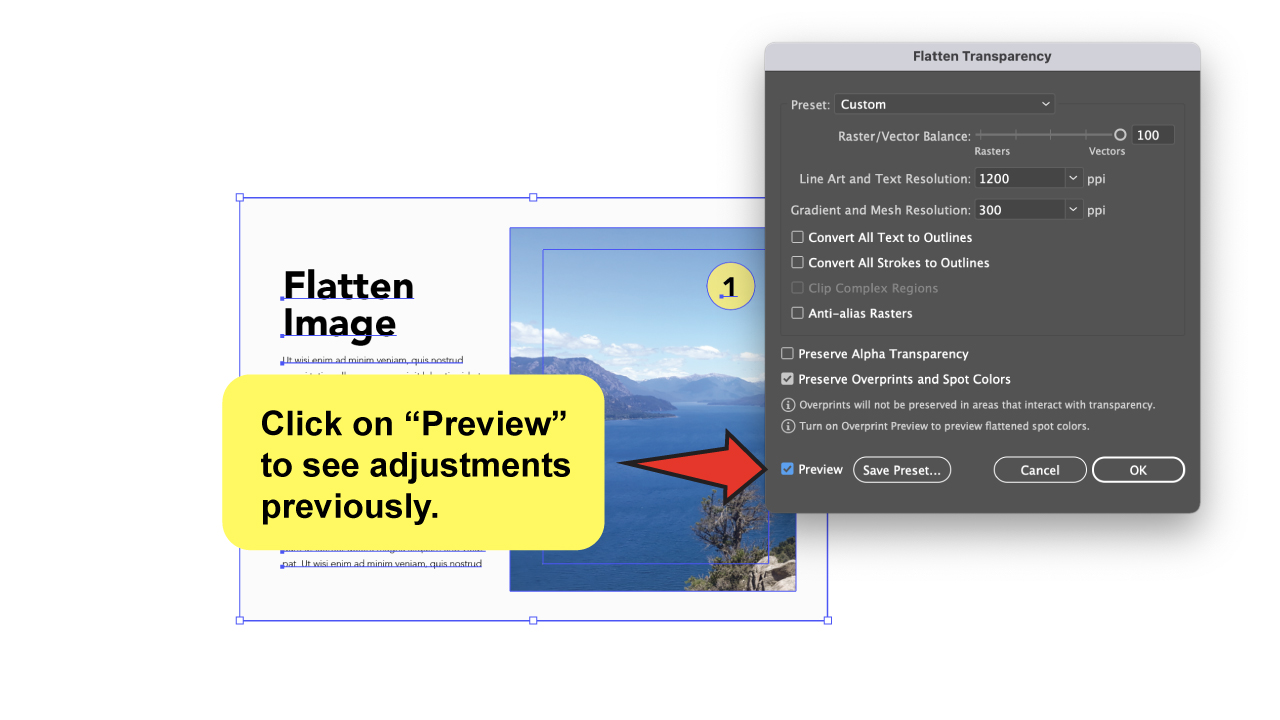 How to Flatten an Image in Illustrator Using Flatten Transparency Step 5 A