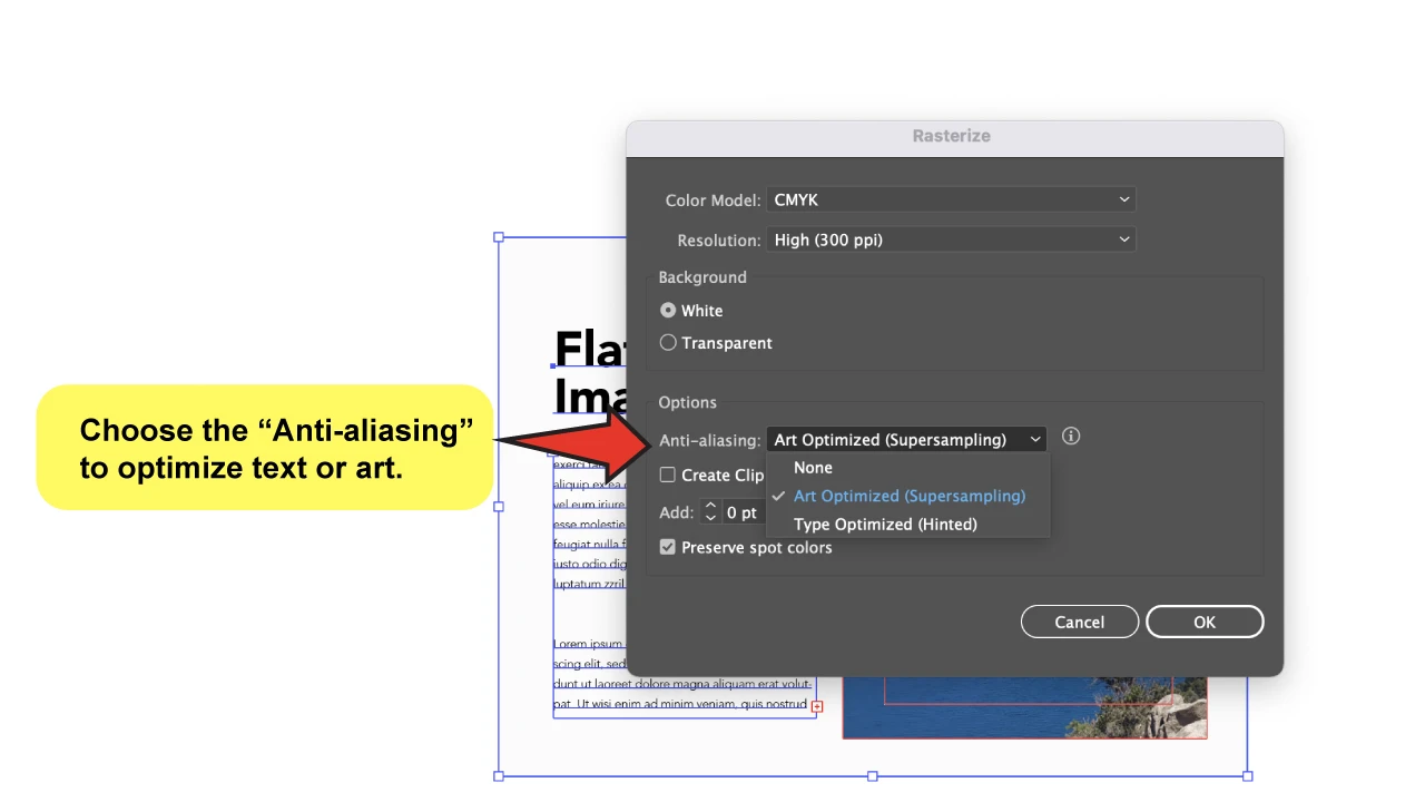 How to Flatten an Image in Illustrator Using Rasterize Step 3 C