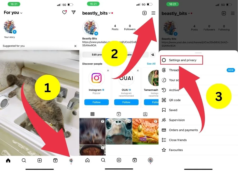 The image explains the first three steps to change to appear offline on Insta