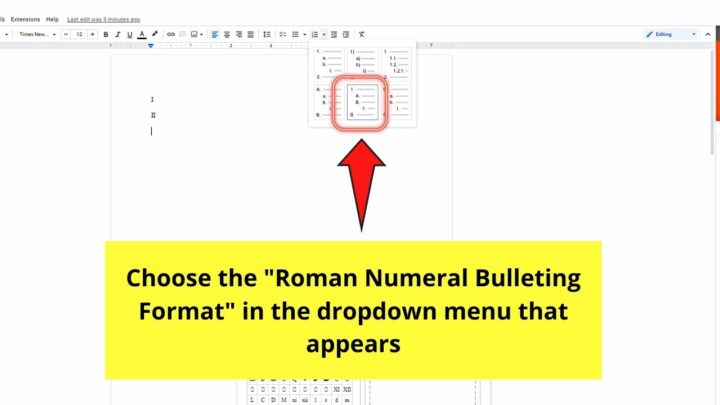 How To Put Roman Page Numbers In Google Docs