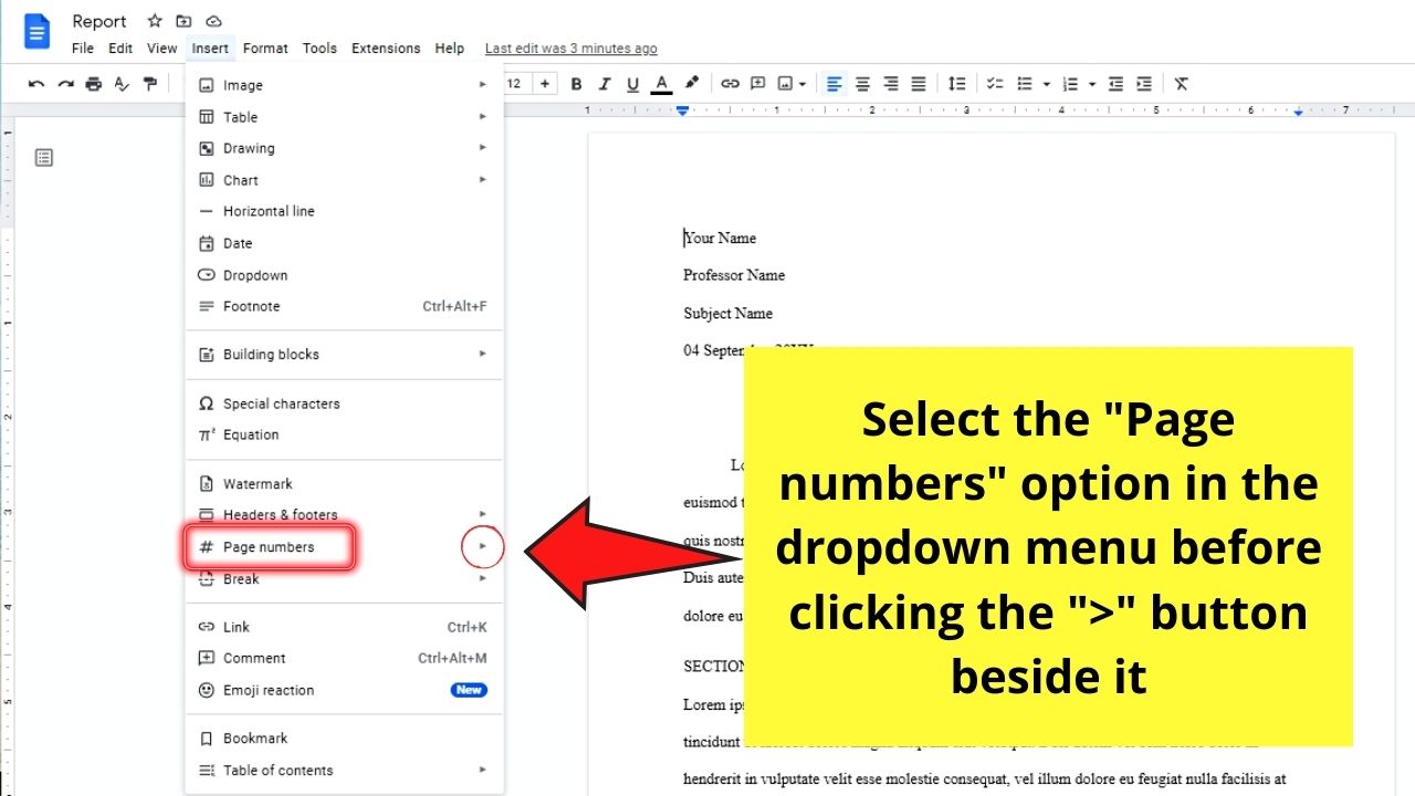 How to Do Roman Numerals in Google Docs as Page Numbers Step 2