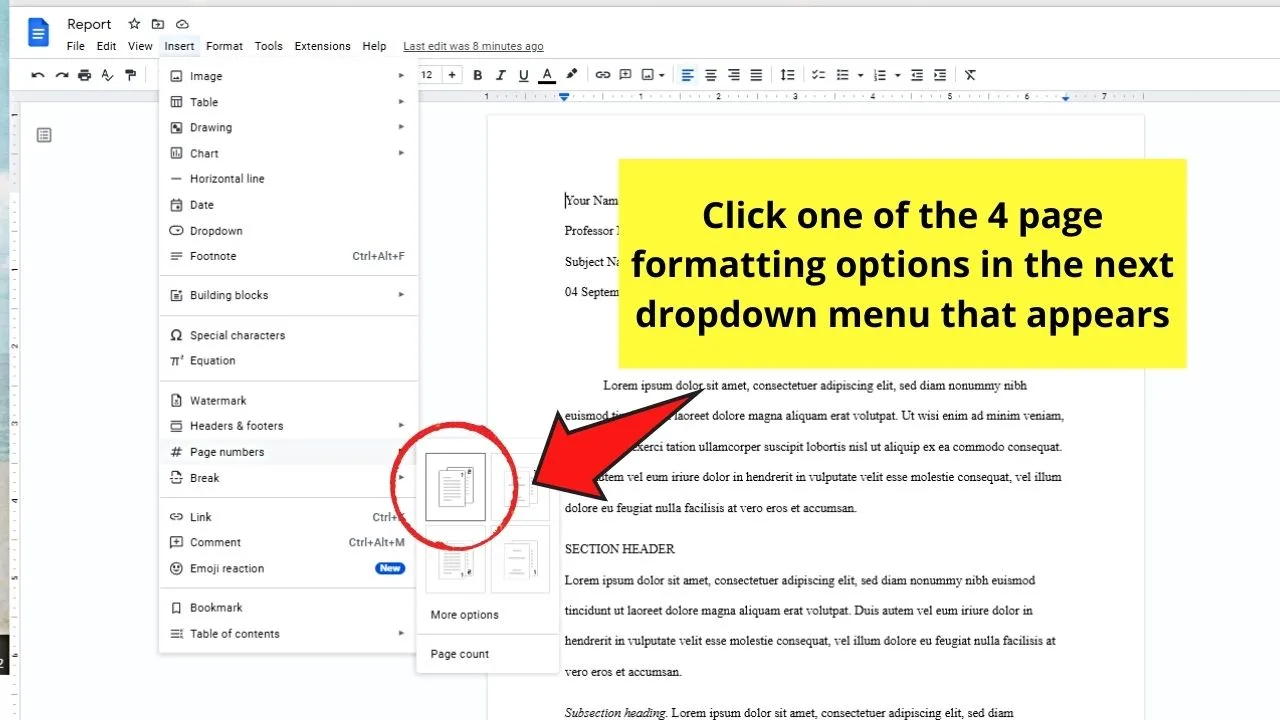 How to Do Roman Numerals in Google Docs as Page Numbers Step 3