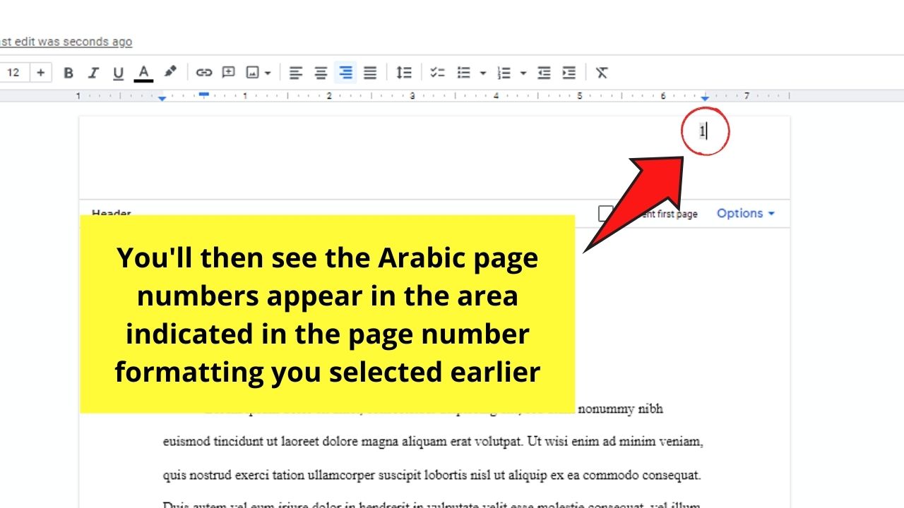 How to Do Roman Numerals in Google Docs as Page Numbers Step 4