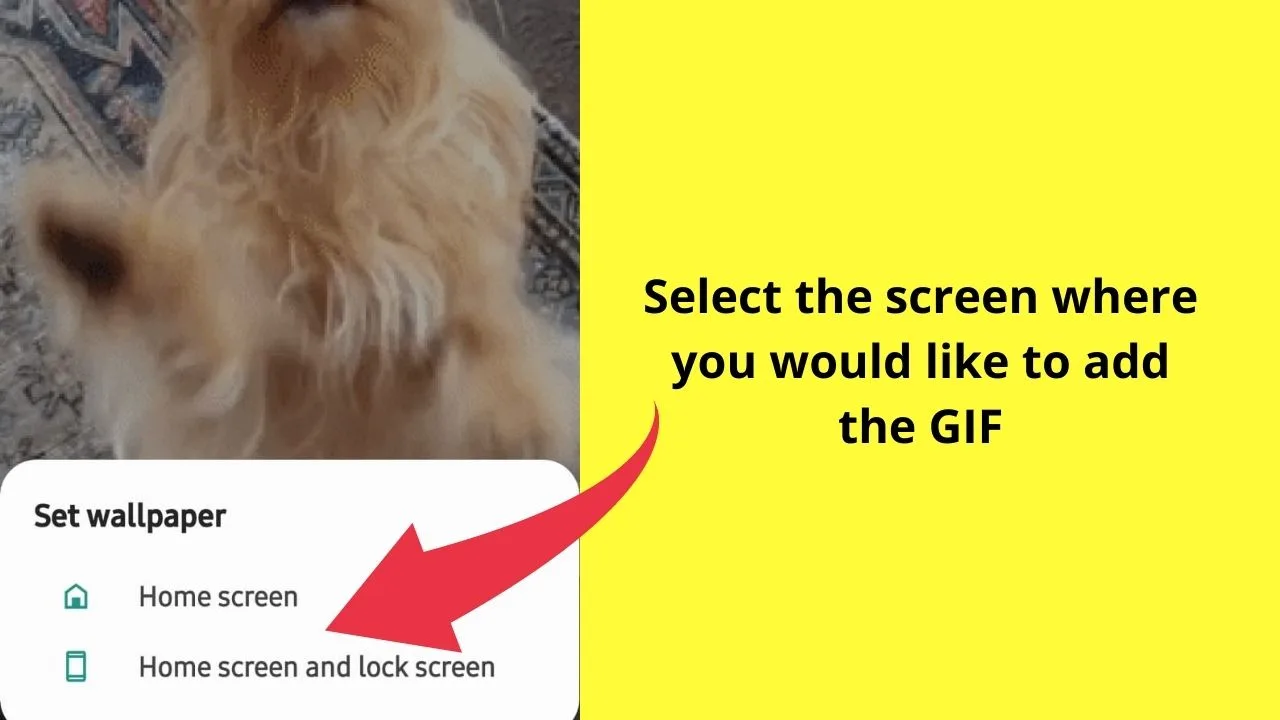 How to Set a GIF as a Wallpaper on Android Step 10