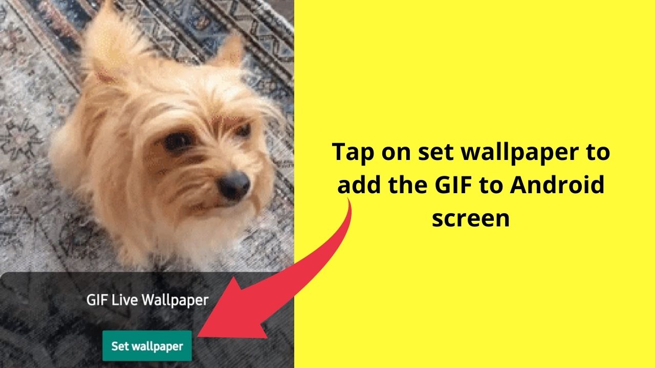 How to Set a GIF as a Wallpaper on Android Step 9