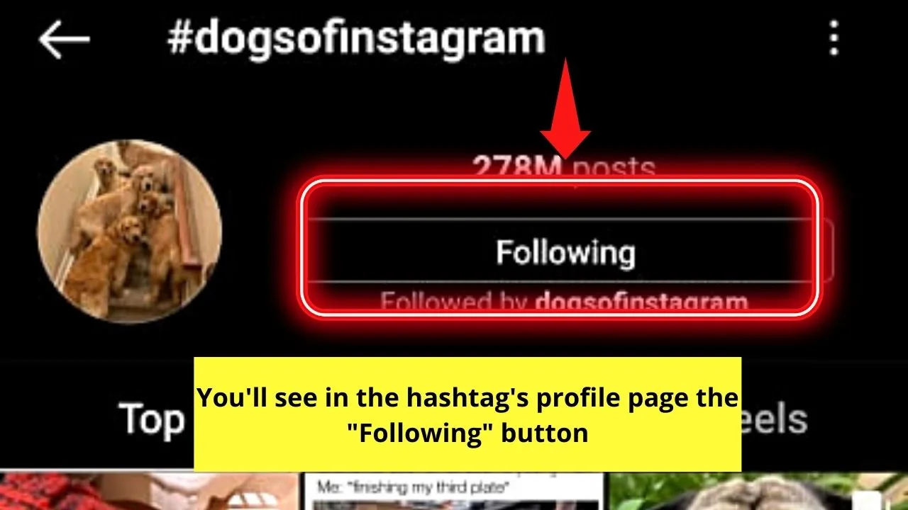 How to Unfollow Hashtags on Instagram by Heading to the Hashtag's Profile Page Step 3