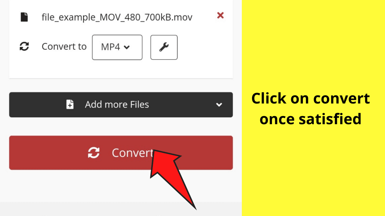 Method 3_ Converting the .MOV File into MP4 File 9