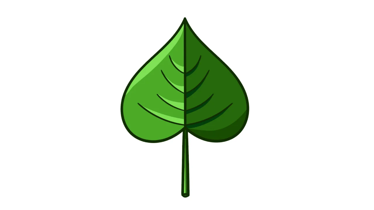 How to Draw a Leaf in Illustrator The Result