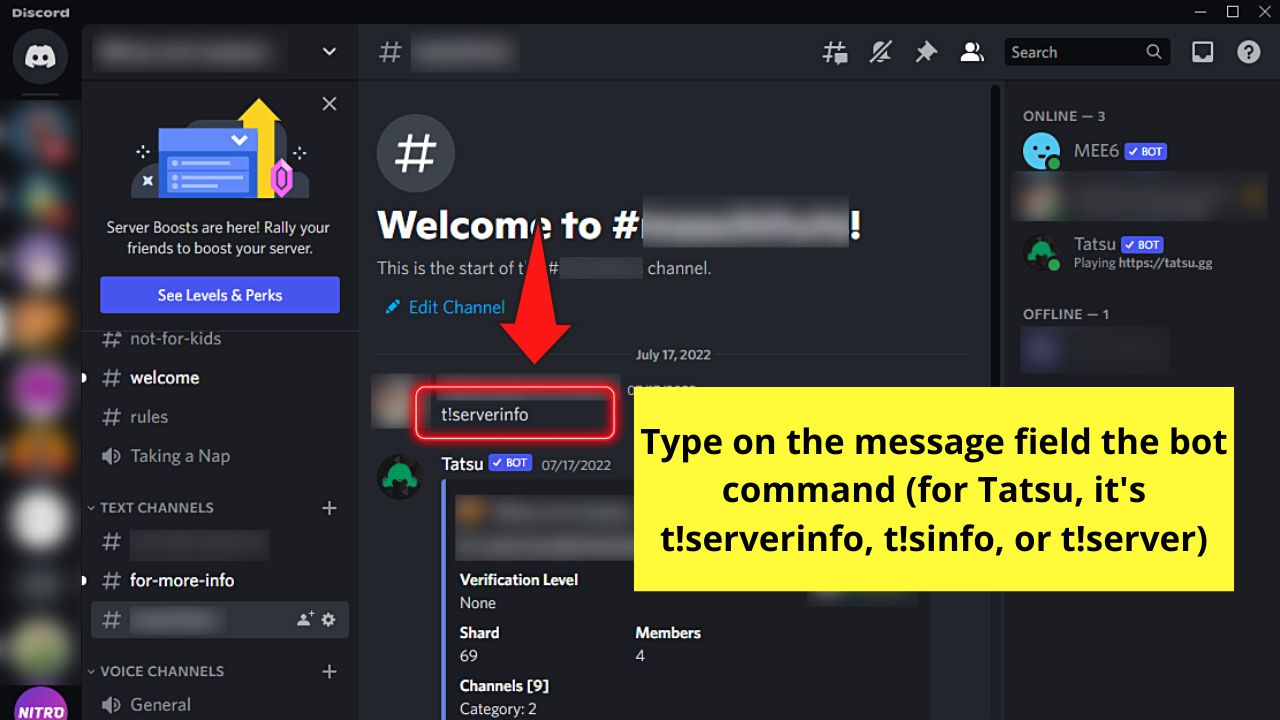 How to See Who Owns a Discord Server by Checking for a Server Bot Step 2