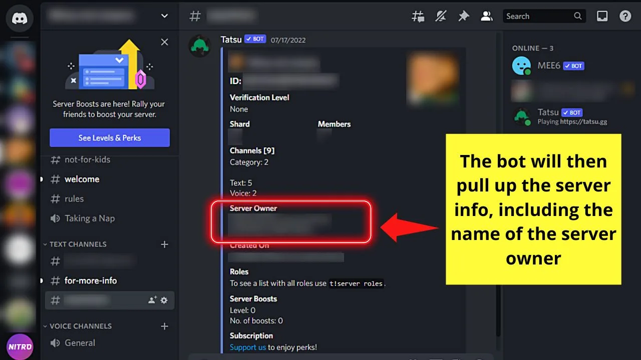 How to See Who Owns a Discord Server by Checking for a Server Bot Step 3