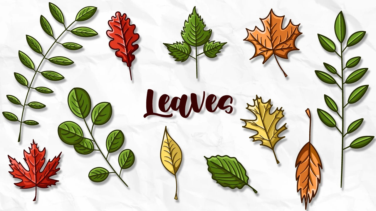 Free Leaves Pack