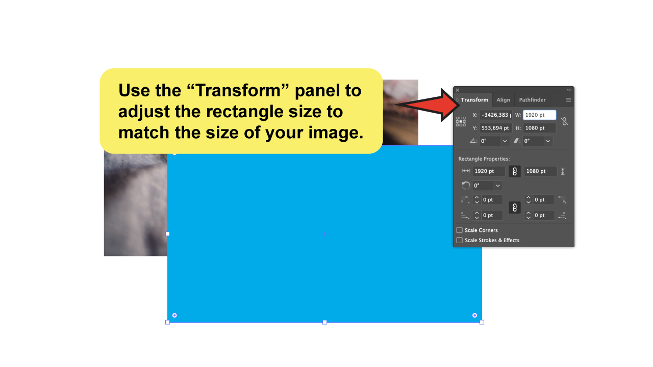 How to Create a Border Around an Image in Illustrator Using the Rectangle Tool Step 3 B