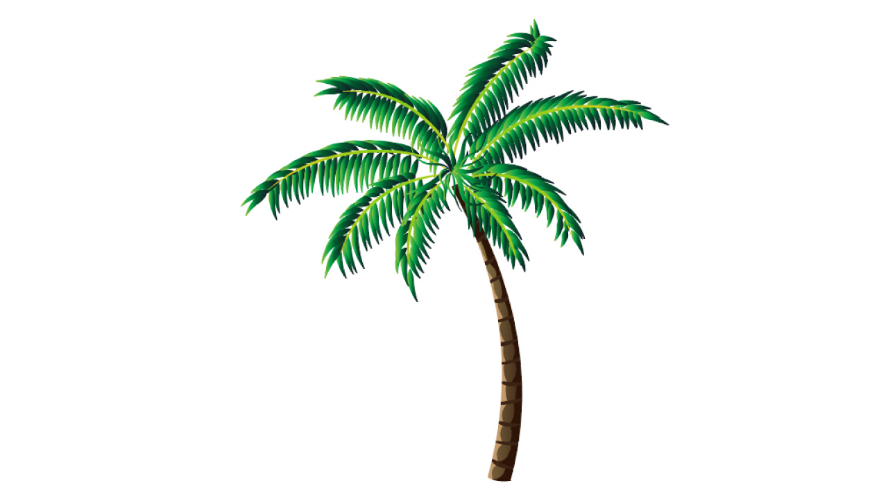 How to Draw a Palm Tree in Illustrator The Result