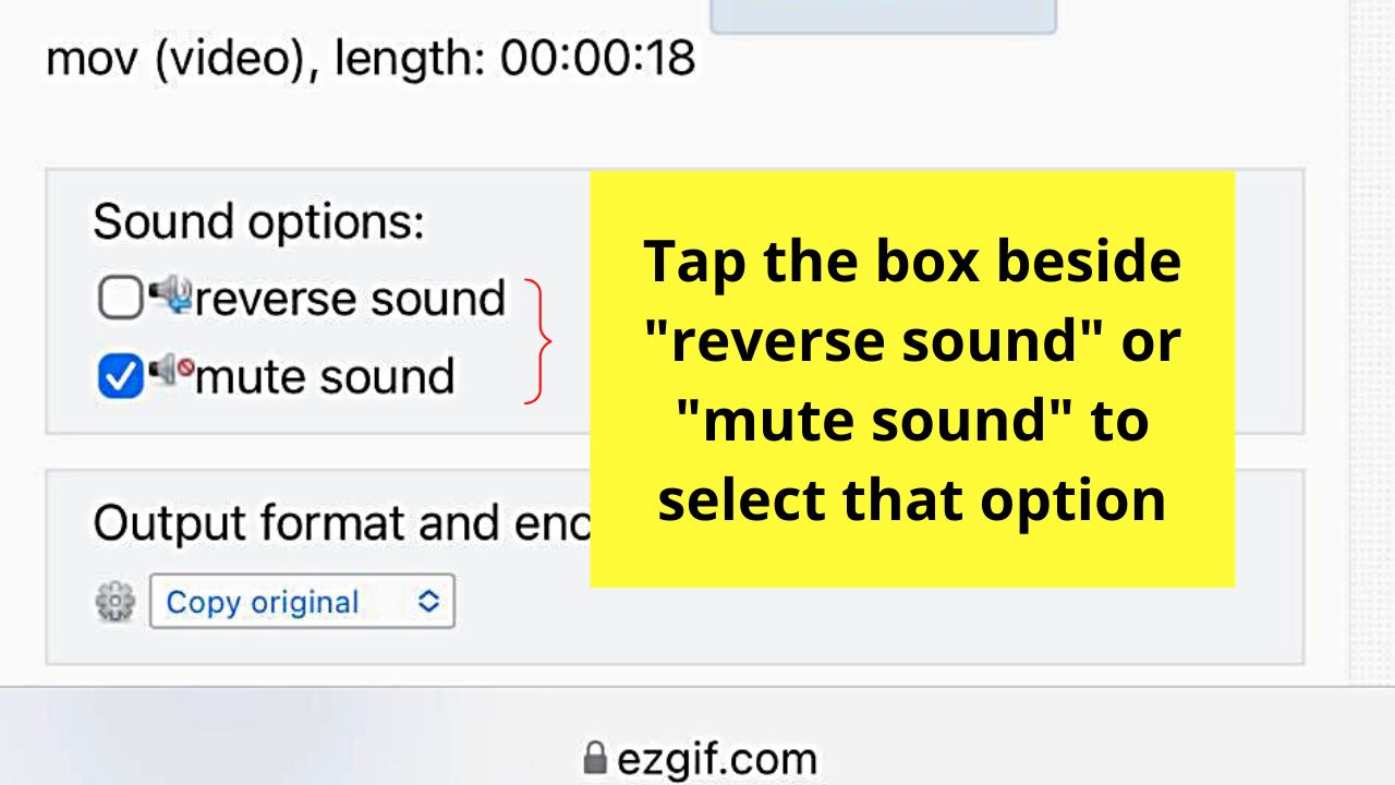 How to Reverse Video on the iPhone by Uploading to EZgif Step 6.2
