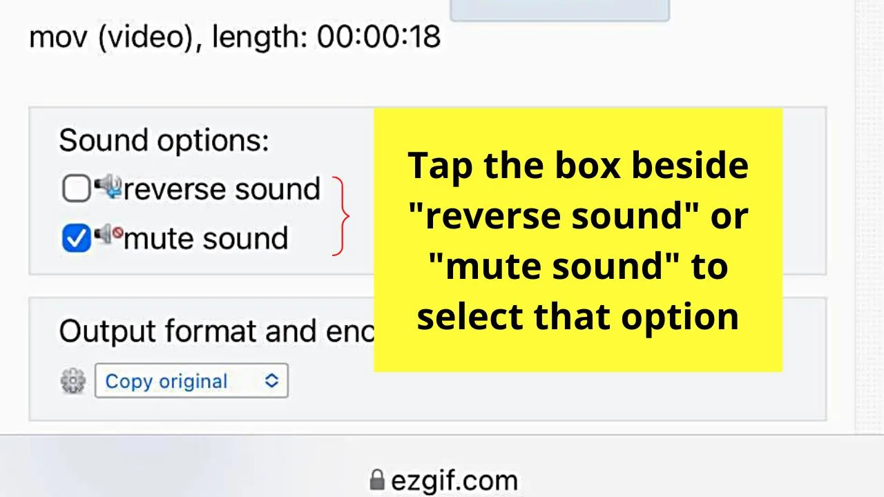 How to Reverse Video on the iPhone by Uploading to EZgif Step 6