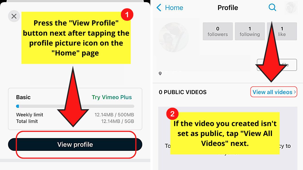 How to Share a Vimeo Video on Instagram (iOS) Step 3.2