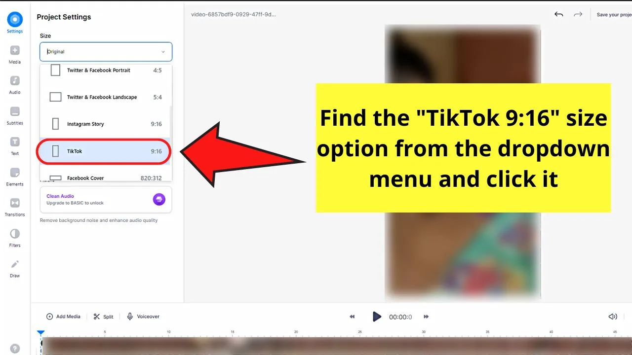 How to Crop a Video on Tiktok Using Editing Websites (VEED) Step 6