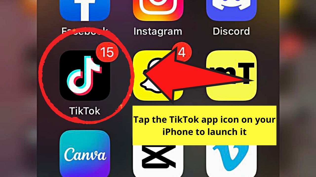 How to Find Live Videos on TikTok iPhone by Tapping the Live Icon Step 1