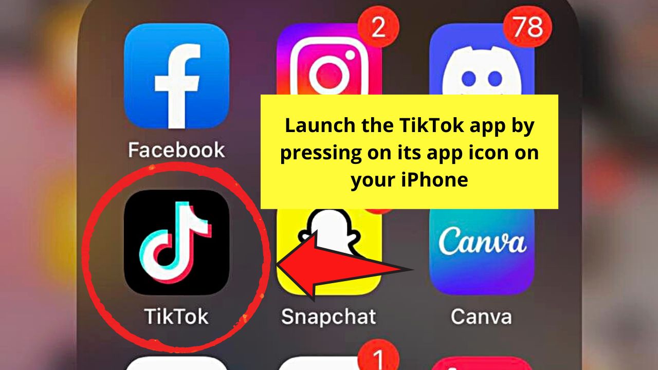 How to Make Pictures Full Screen on TikTok iPhone Using Green Screen Effect Step 4.2
