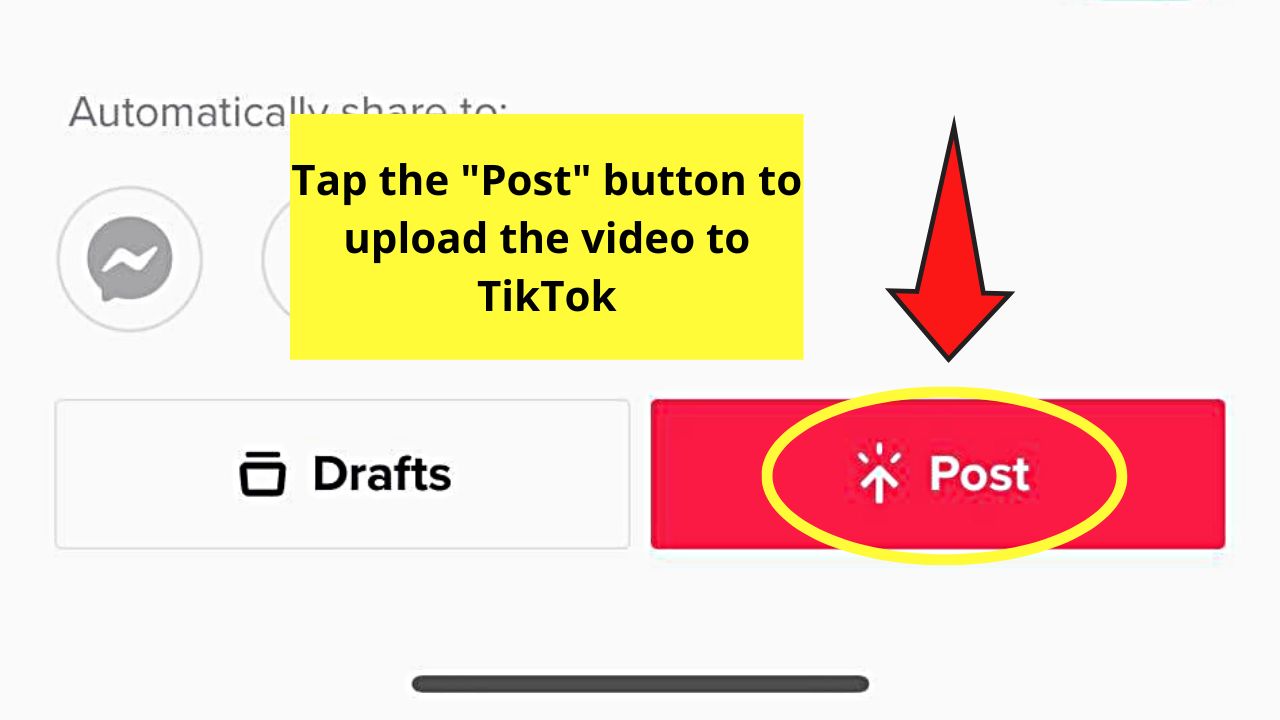 How to Make a Video Then Add Pictures on TikTok by Using the Green Screen Effect Step 12