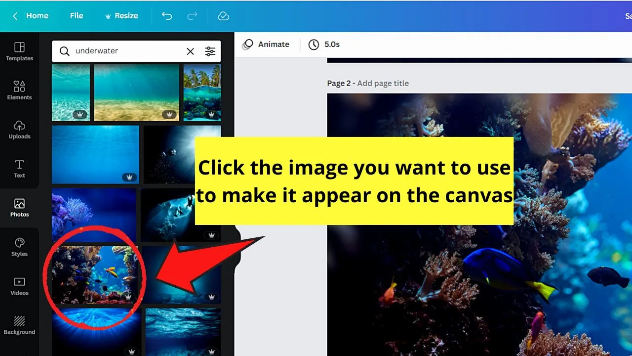 How to Blur The Edges of a Photo in Canva Step 2