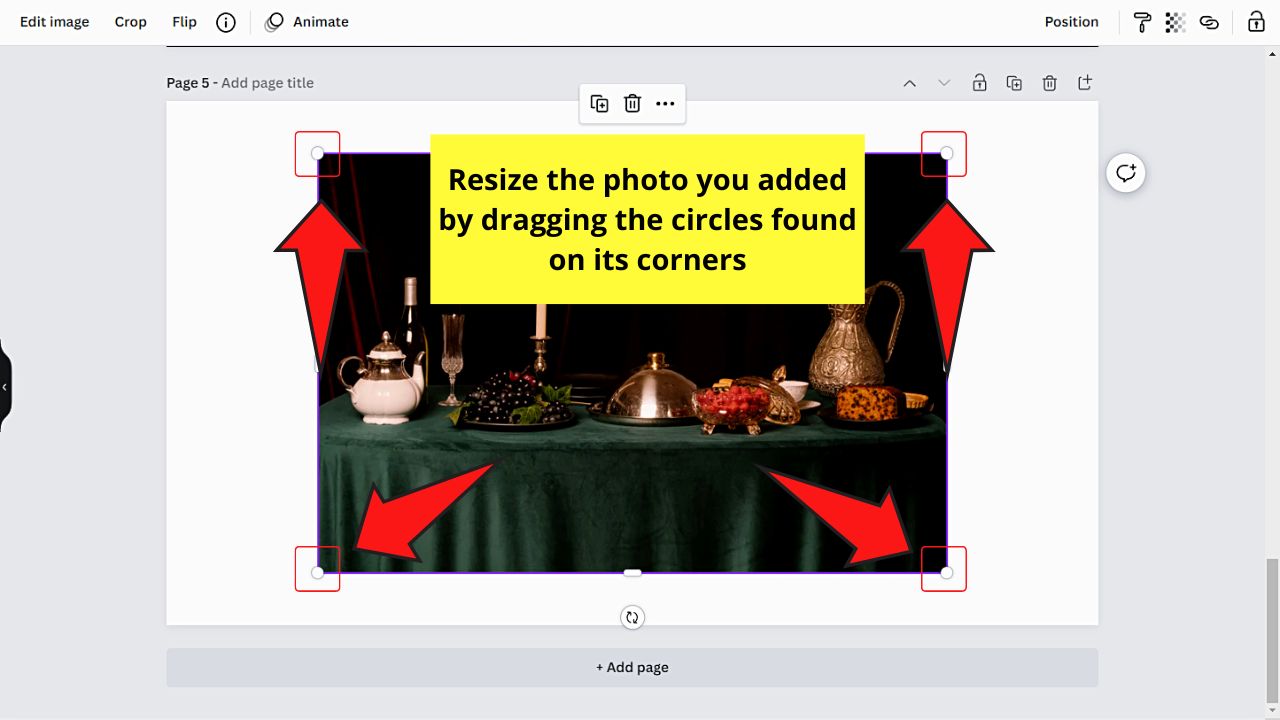 How to Fade an Image in Canva by Using the Fade Slider in Adjust Settings Step 2