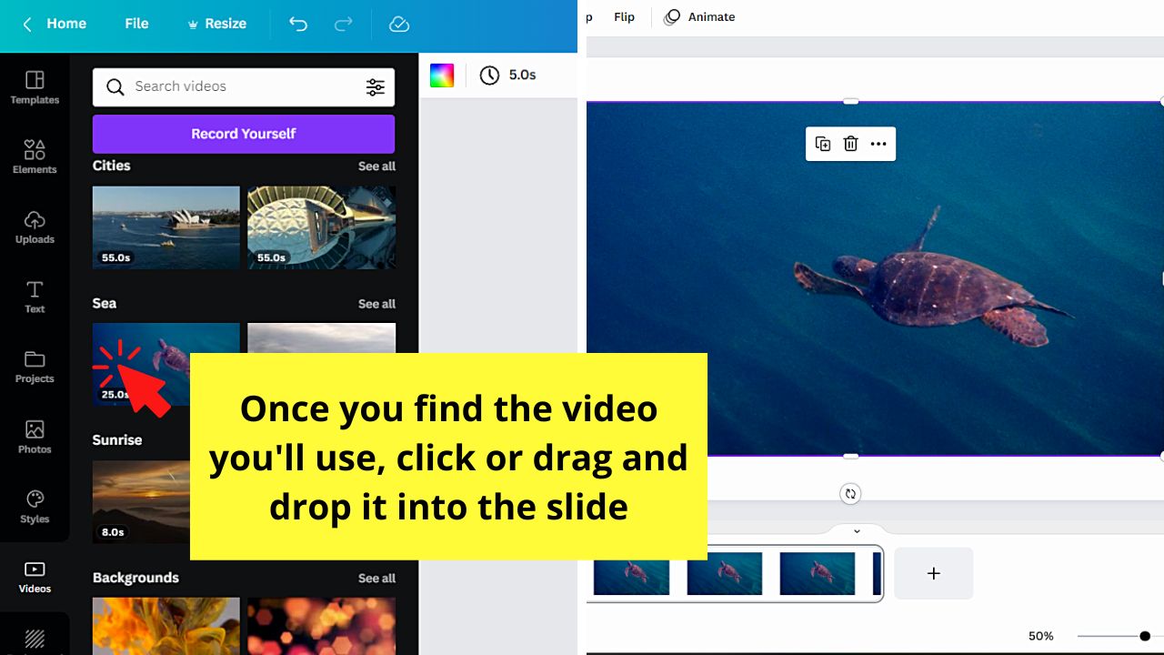 How to Remove the Background of a Video in Canva Step 1.3