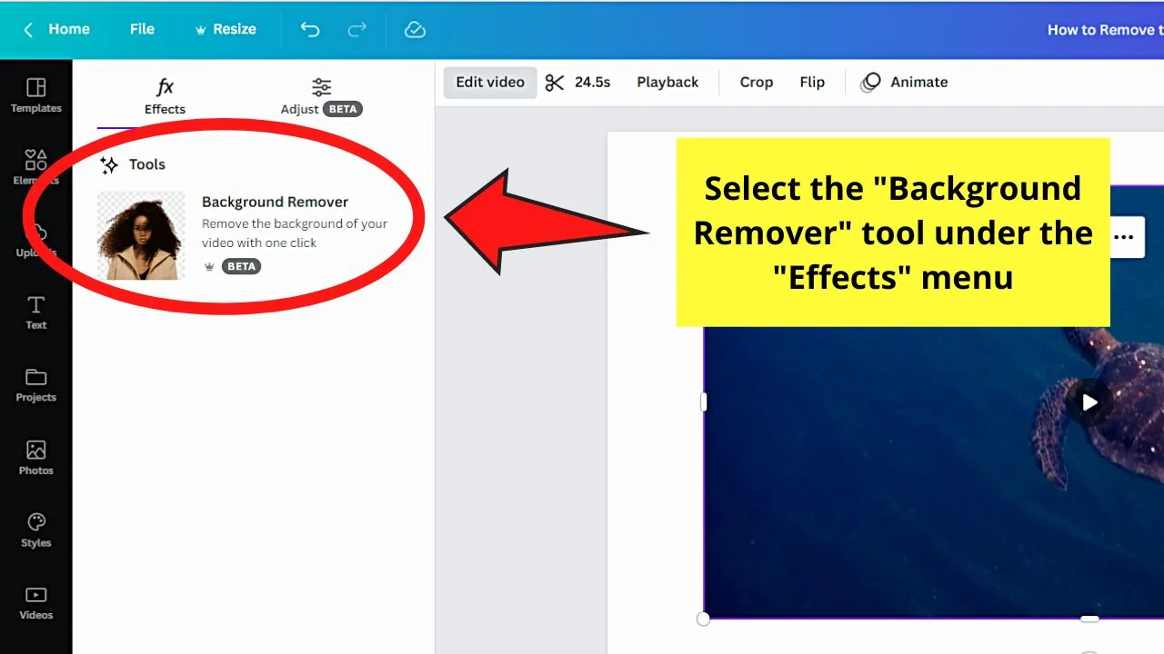 How to Remove the Background of a Video in Canva Step 4.1