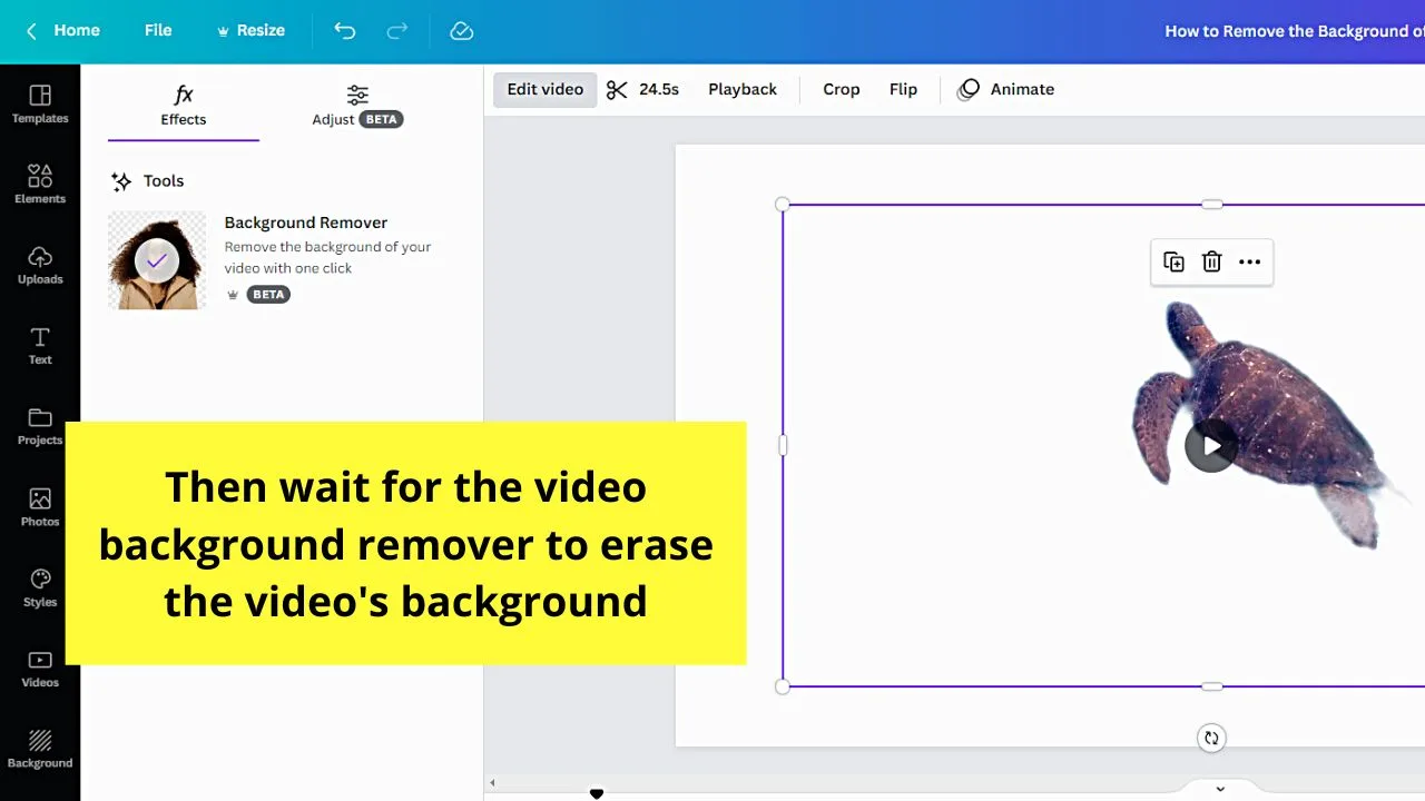 How to Remove the Background of a Video in Canva Step 4.2