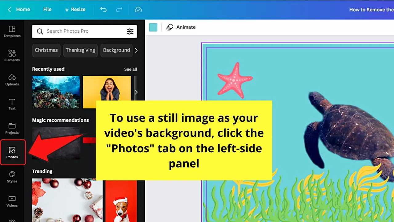 How to Remove the Background of a Video in Canva Step 8.1