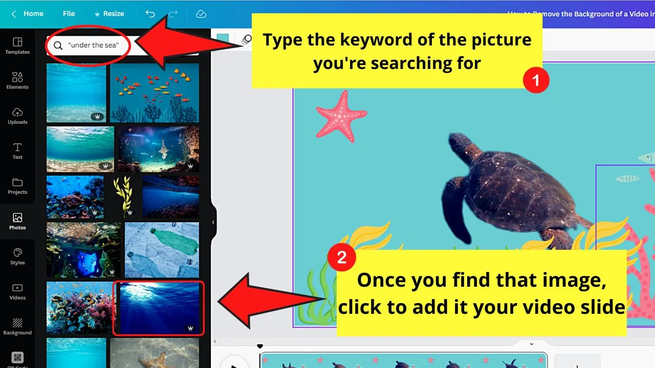 How to Remove the Background of a Video in Canva Step 8.2