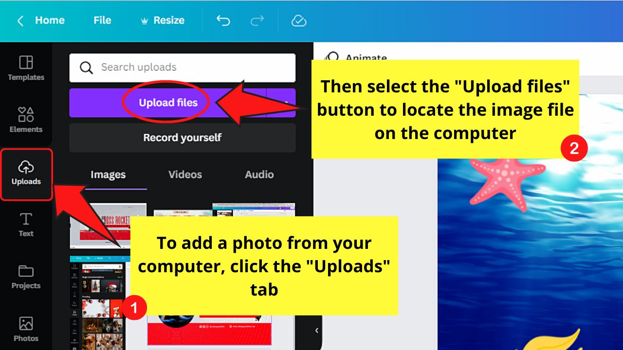 How to Remove the Background of a Video in Canva Step 8.4