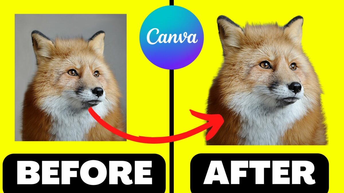 how-to-cut-out-an-image-in-canva-like-a-pro