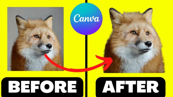 How to Cut Out an Image in Canva — Like a Pro