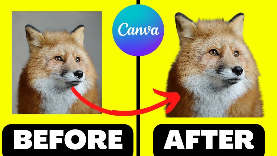  How To Cut Out An Image In Canva Like A Pro