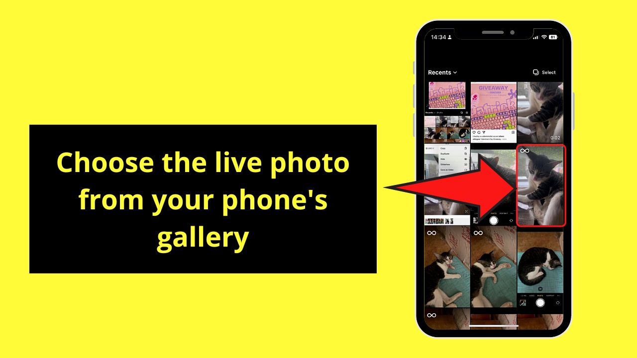 How to Post Live Photos on Instagram Stories by Converting Live Photo to a Boomerang Step 4
