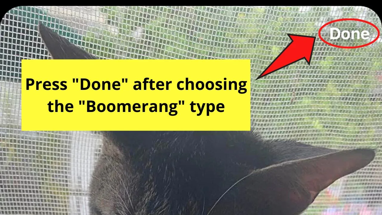 How to Post Live Photos on Instagram Stories by Converting Live Photo to a Boomerang Step 6