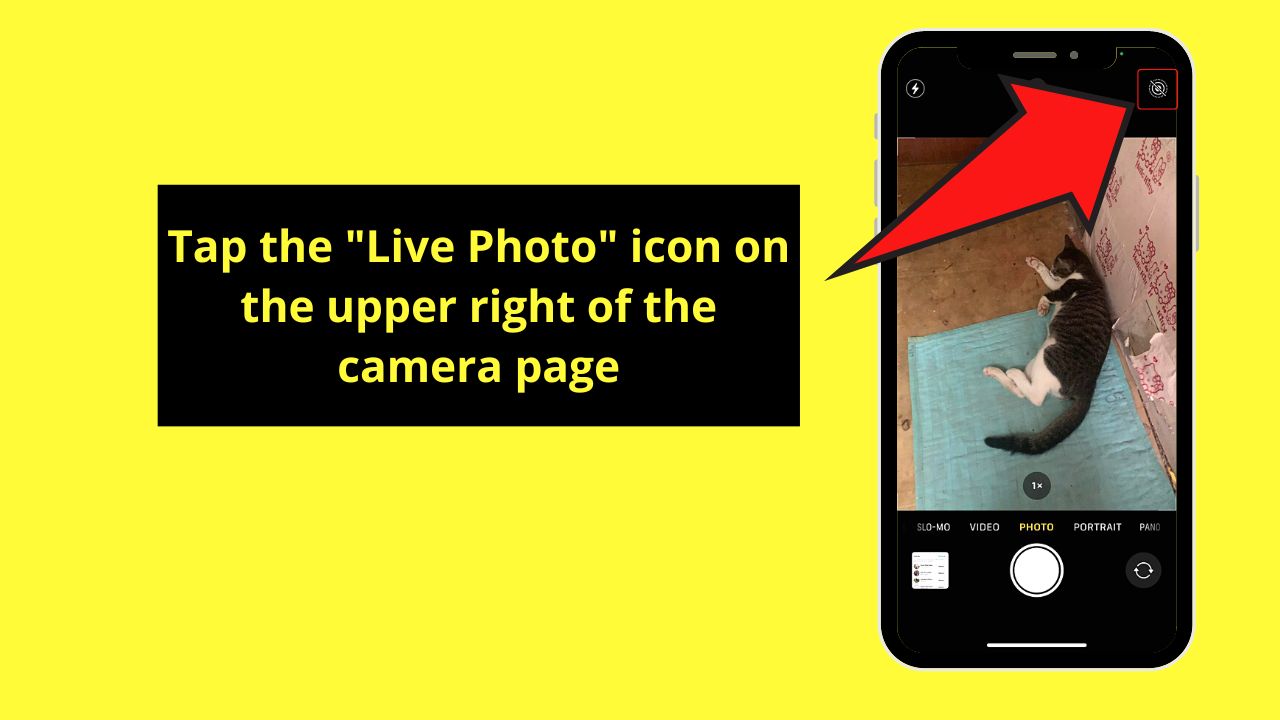 How to Post Live Photos on Instagram by Converting Live Photo to a Video Step 1