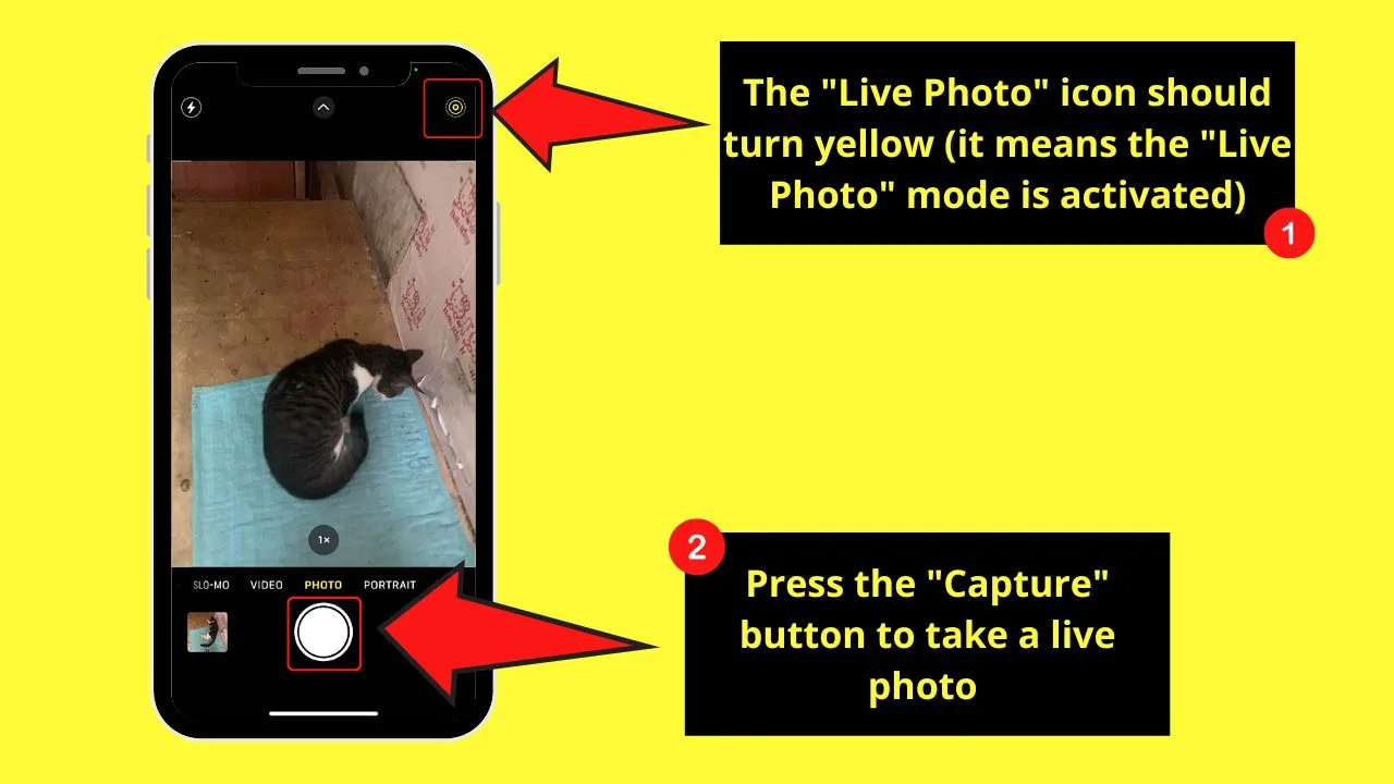 How to Post Live Photos on Instagram by Converting Live Photo to a Video Step 2