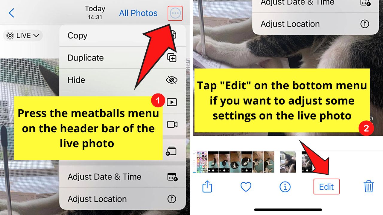 How to Post Live Photos on Instagram by Converting Live Photo to a Video Step 4